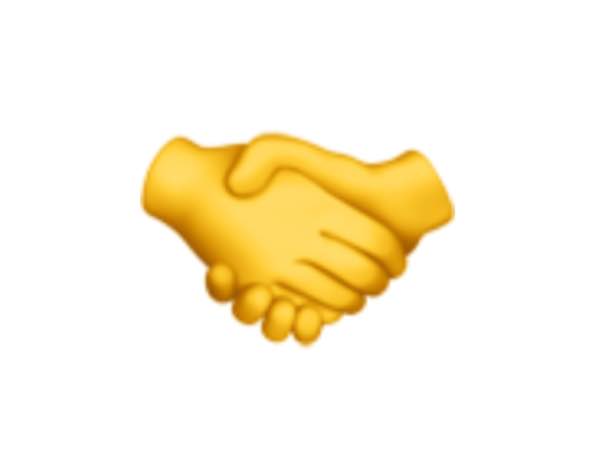 パルマームズとは？